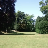 Wycombe Museum Marquee and grounds Photo