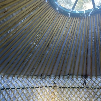  The Shiny Happy Yurt Photo