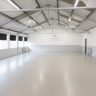 The Company Performing Arts 