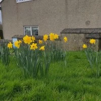 Probus Village Hall Photo